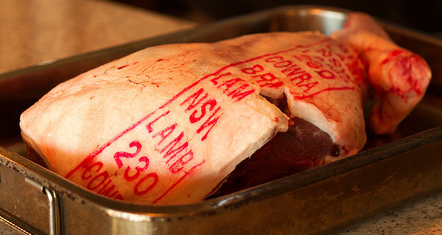 3836574948_87223795f2_z-640x340