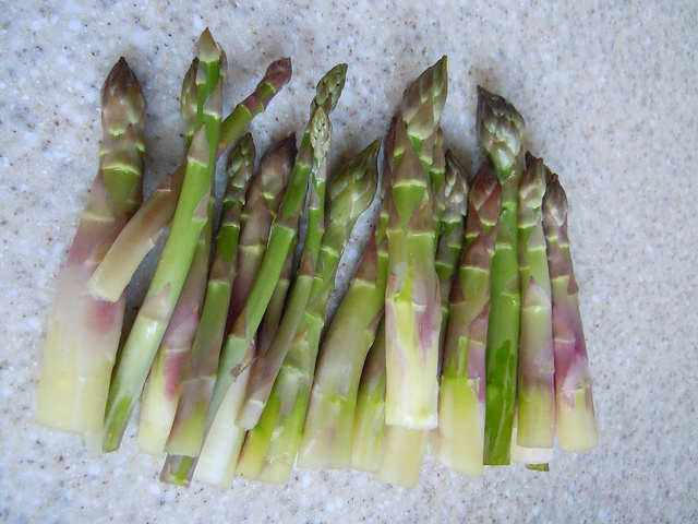 5616331791_83330109de_z