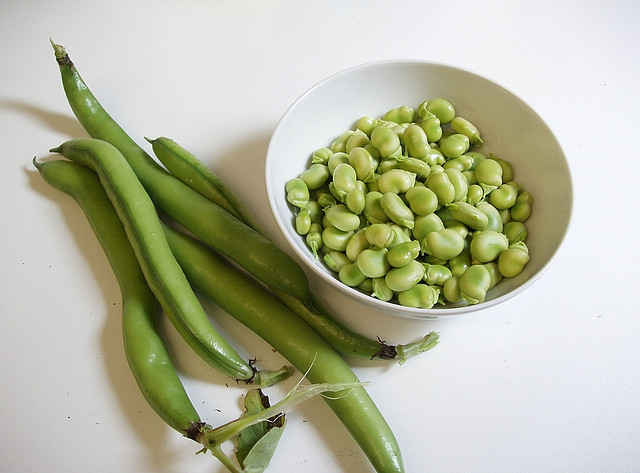 broadbeans