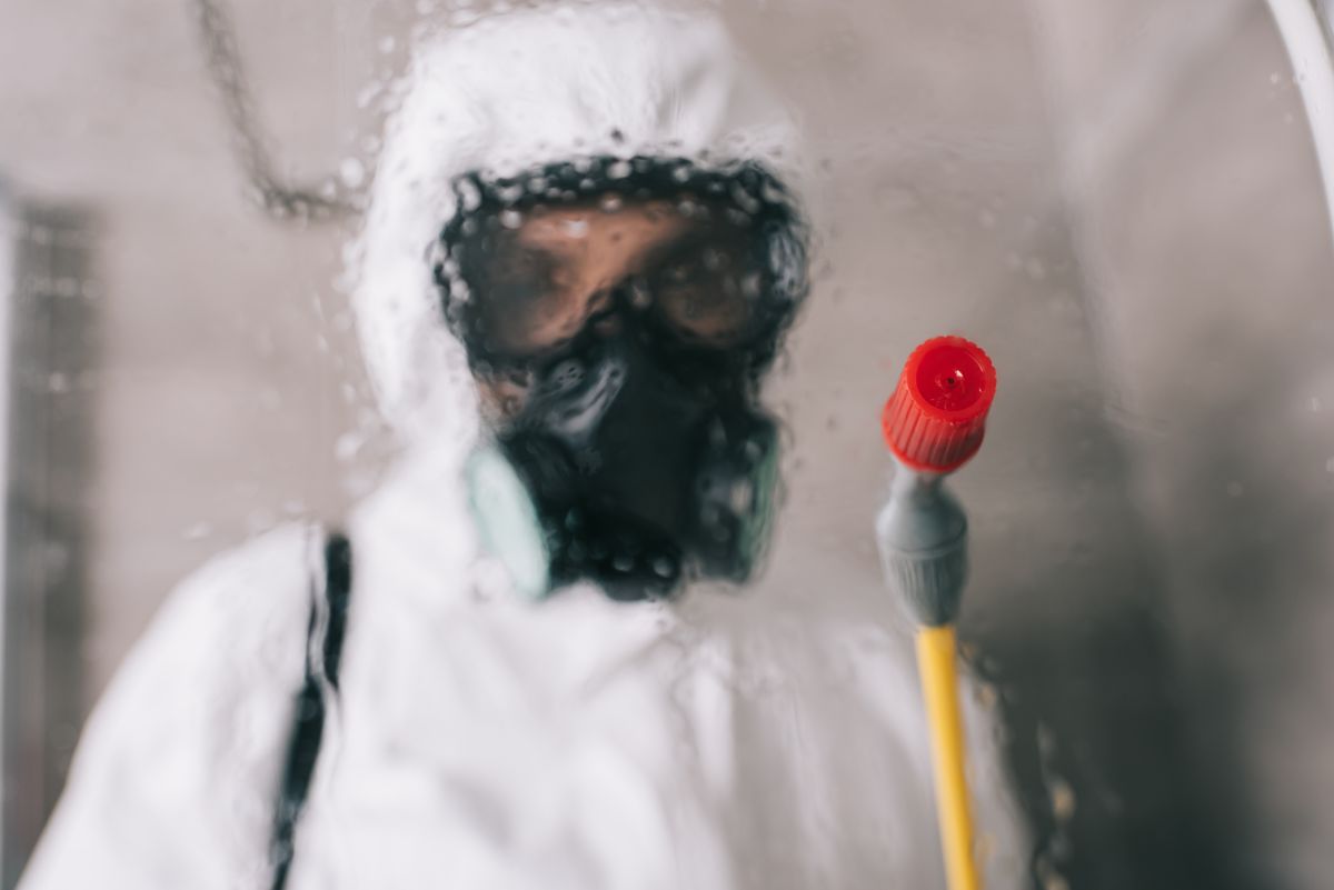 Average pest control cost, how long a job takes, do I clean after?